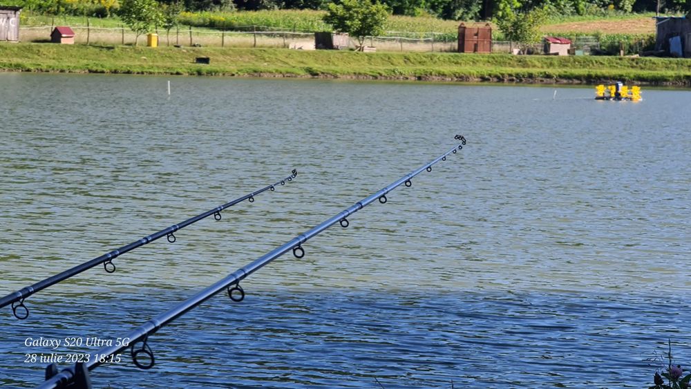 Combo feder dome gabor