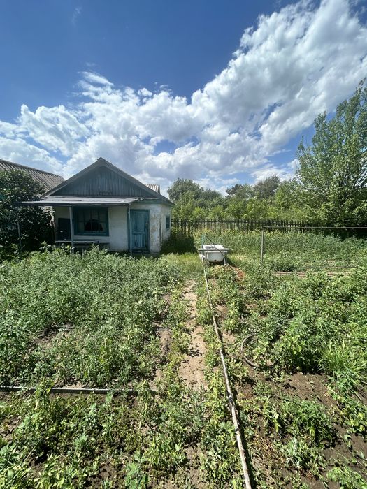 Продам дачу сад «Здоровье»