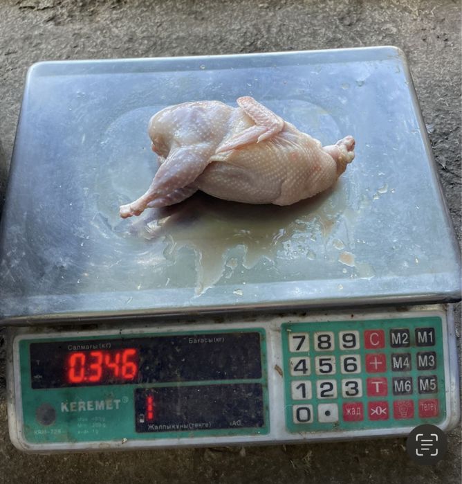 Перепелиное мясо, 100% халал