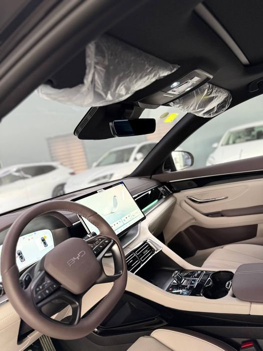 Byd chempion smart