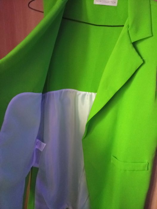 Vesta eleganta verde