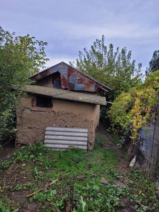 Vănd teren intravilan, Putineiu, Giurgiu,2500mp, între case cu deschidere la 2 străzi, 3,5€/mp