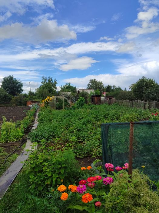 Срочно!Продам дачу 10 соток