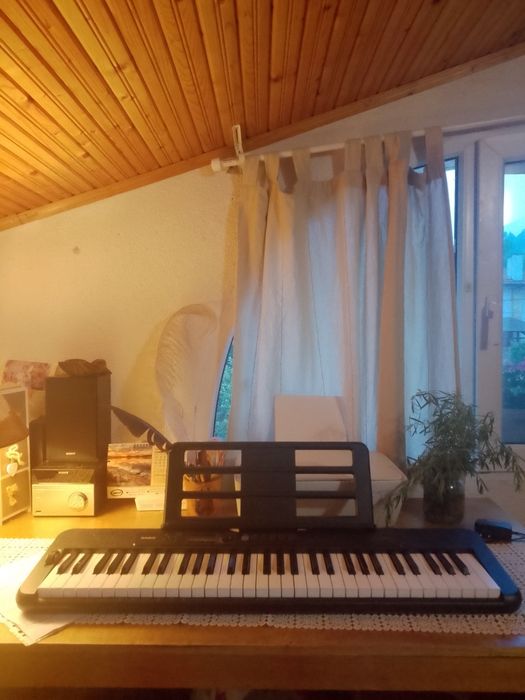 Casio пиано-  Casiotone CT s300