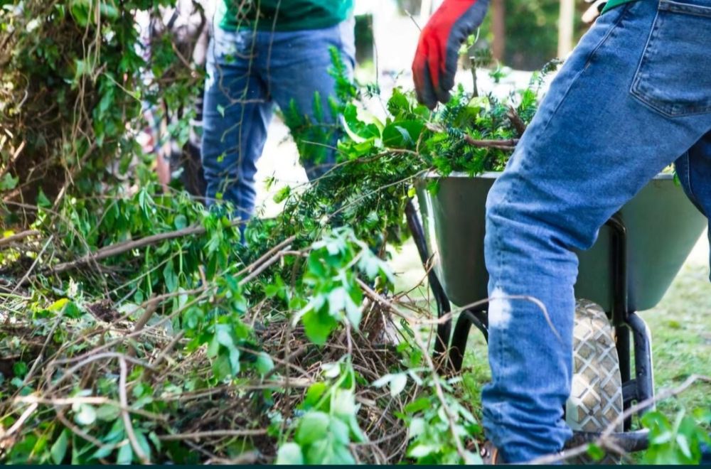 Servici Debarasari Apartamente Mobila Moloz Mutari prețuri evantajoase