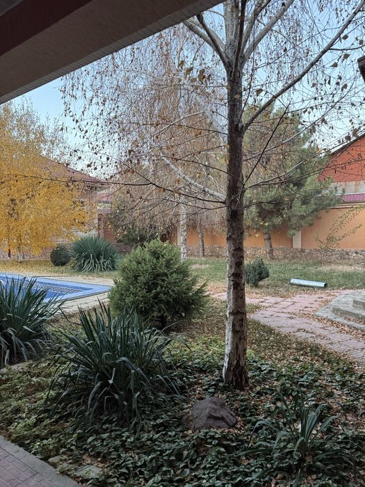 Dacha sotiladi 9 sotix