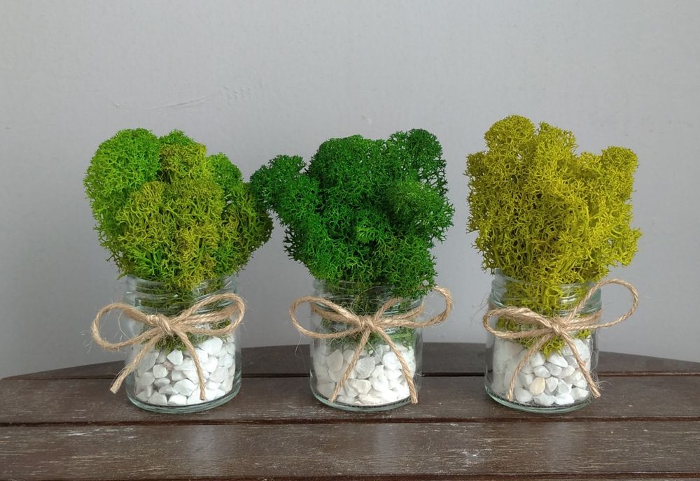 Подаръчета за гости / Декорация за дома