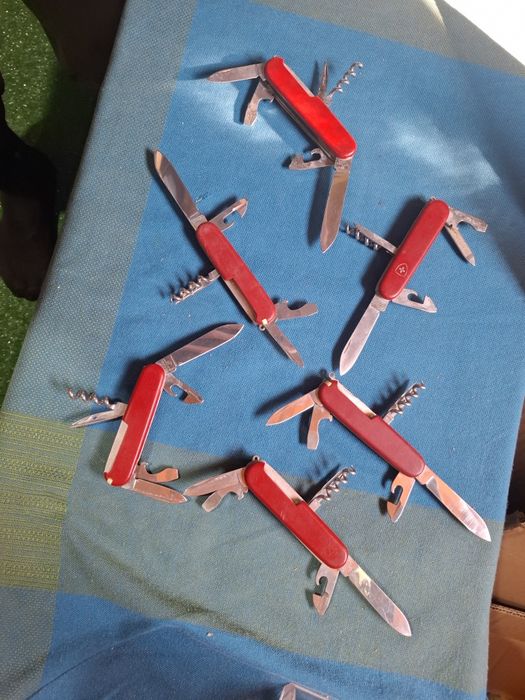 Швейцарски ножки цена 25лв за брой