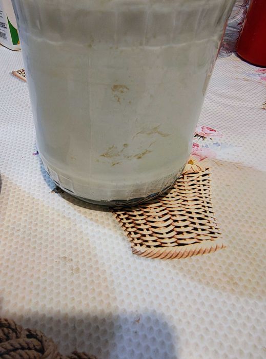 Chefir de lapte ciuperca tibetană kefir apa Kombucha