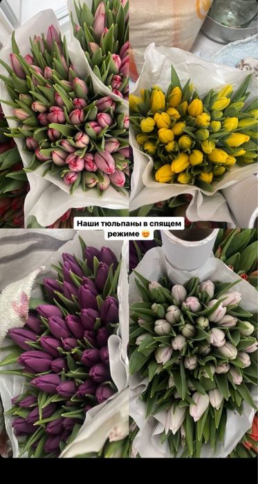 Тюльпаны по низким ценам