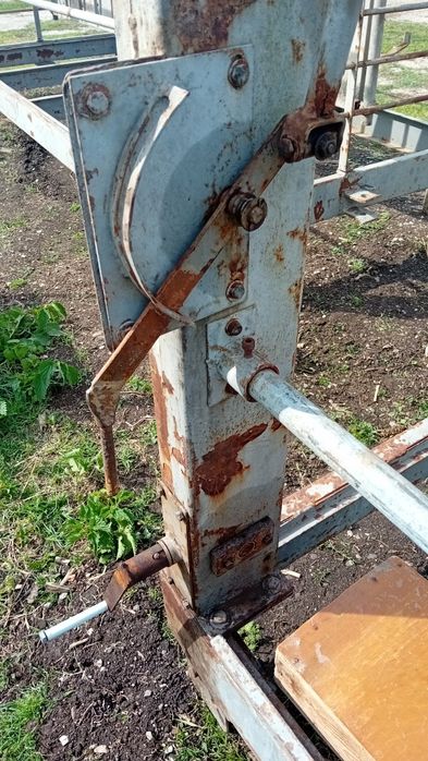 Доилна естекада, капан за доене на овце, стръга