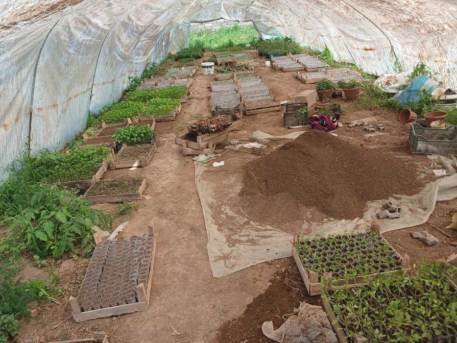 Sifatli kuchatlar yetkazib berish.