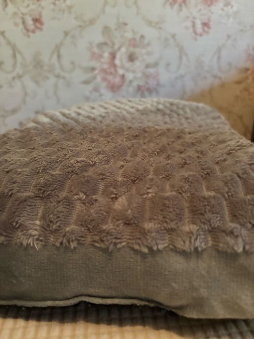 Лежанка для мелких пород