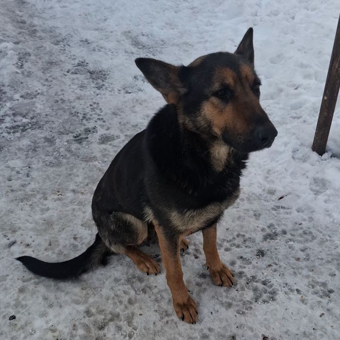 Срочно  добрым ответственным людям!