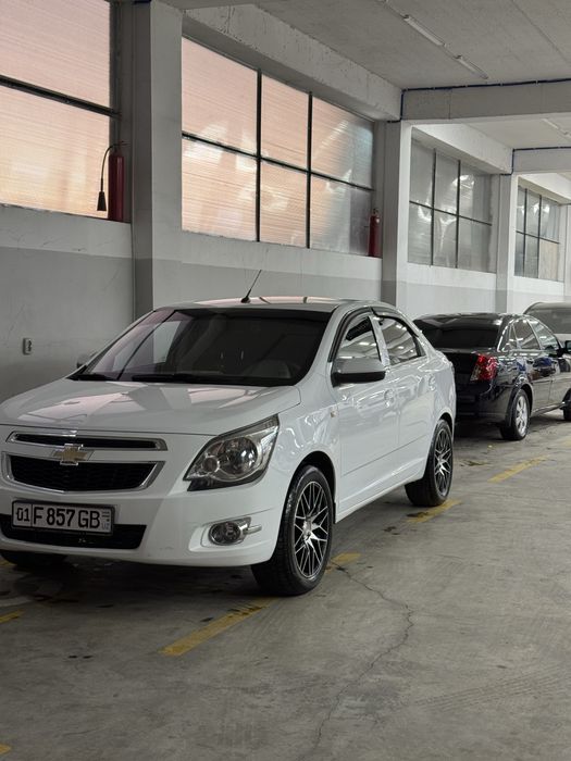 Cobalt sakadiska R17  Obmen Midnight diska balonga