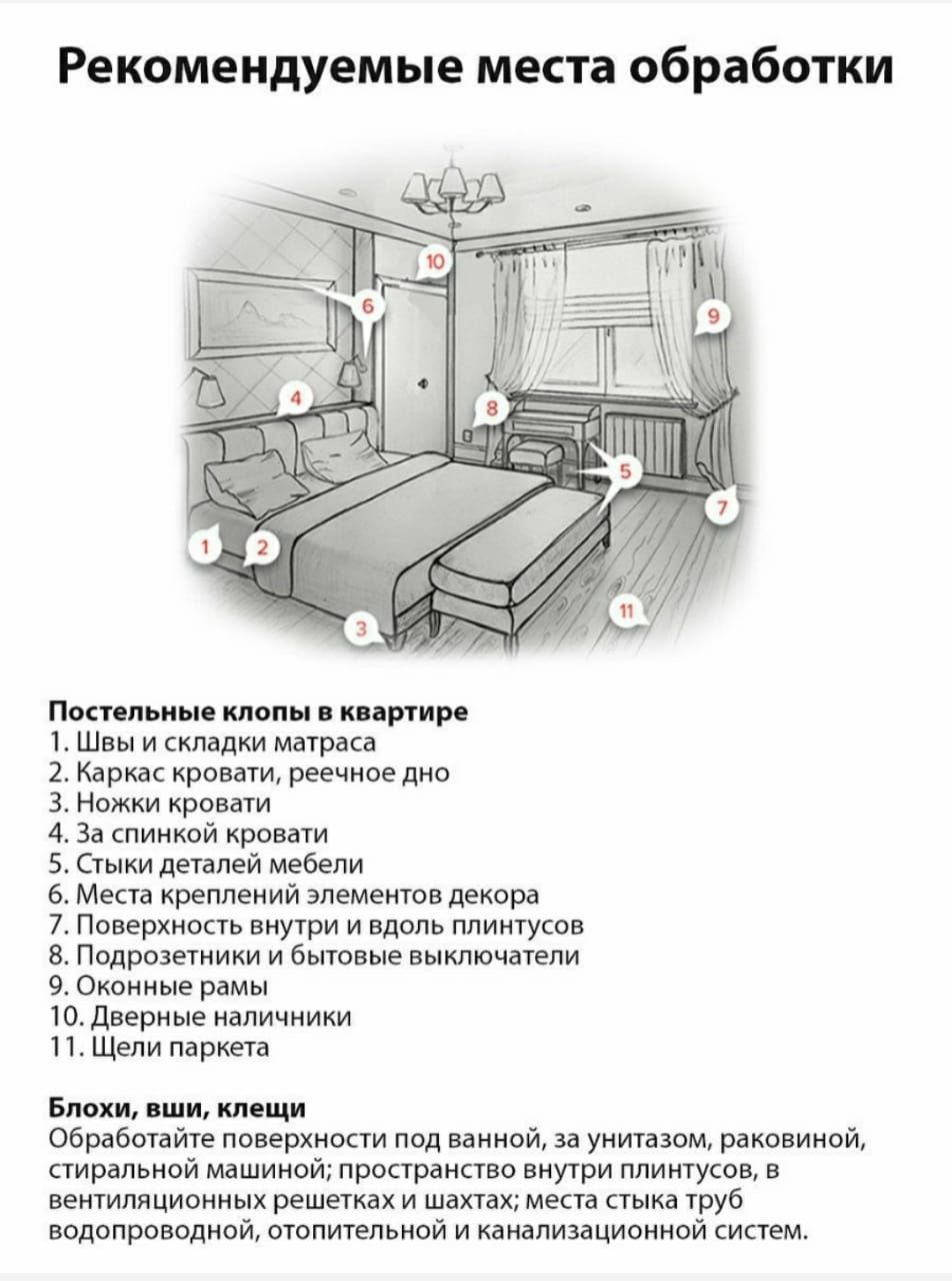 Заговор от клопов в квартире