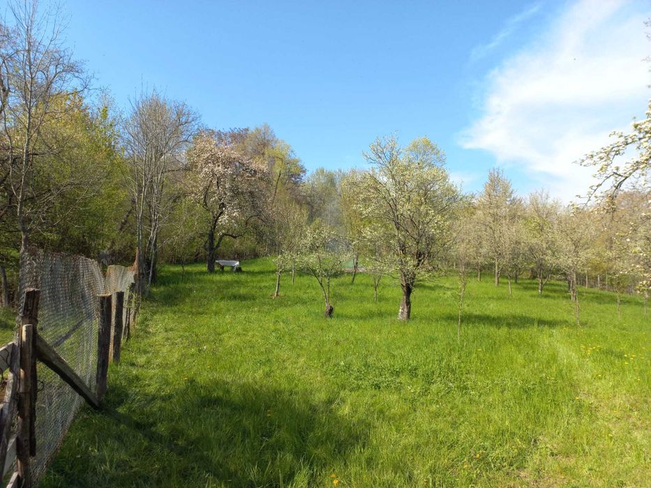 Teren de vanzare - Breaza - 1950mp