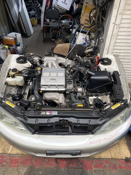 Ноускат Виндом 21