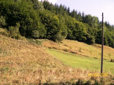 Продава се Земеделски имот в Троян -  кв.м за 7 €/дка - Снимка #3