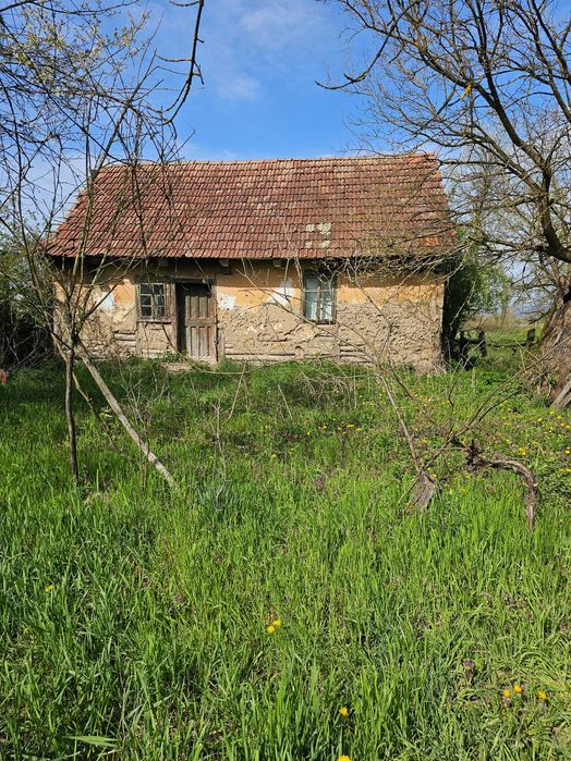 Vand casa cu gradina in sat Tela comuna Bata jud.Arad.