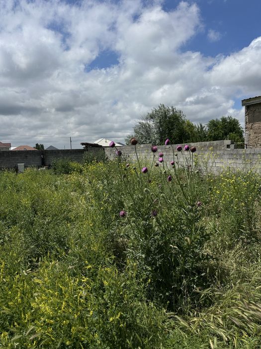 Участок в пригородном