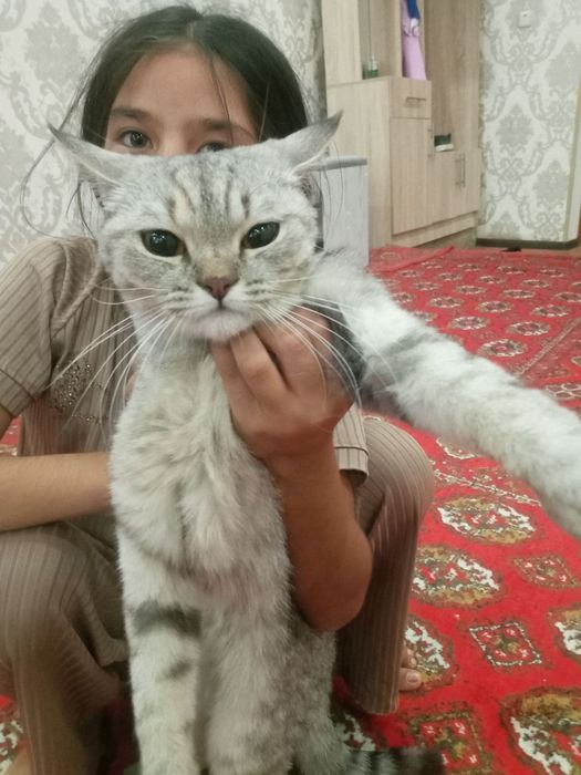 Cosmos Court mehmonxonasida jinsiy aloqa