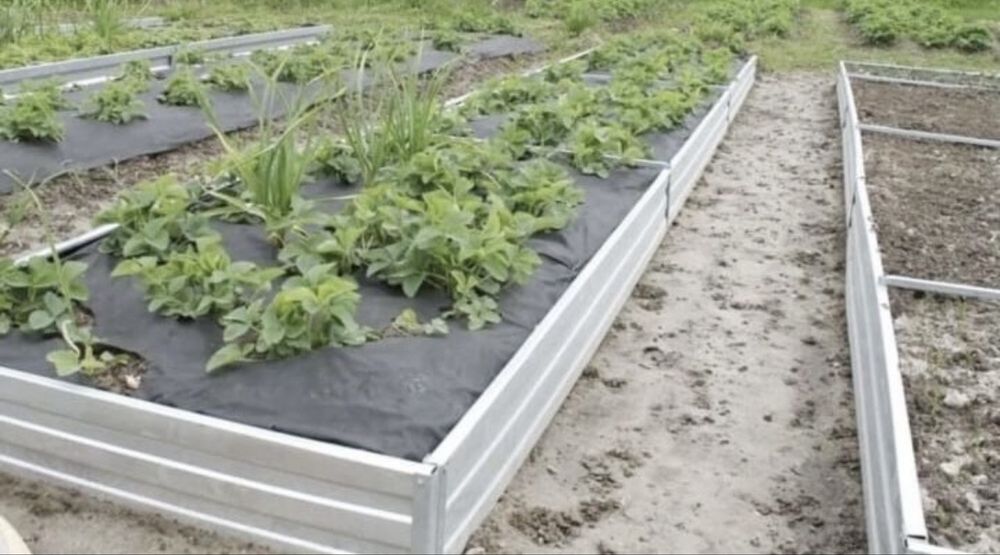 Грядки оцинкованные садовоство