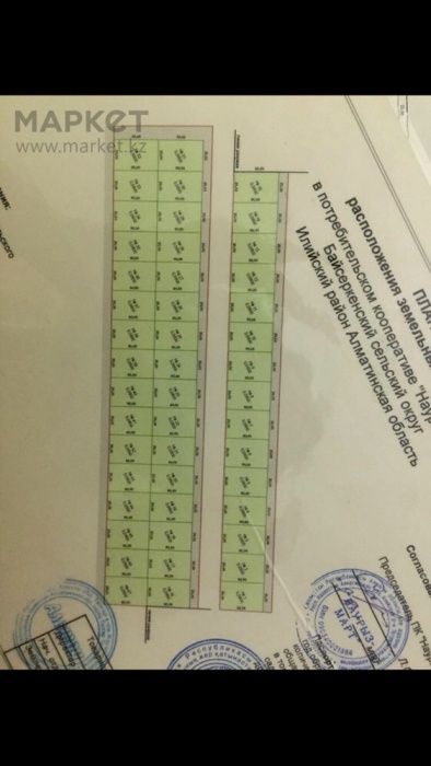 Земля заречный 24сотки торг