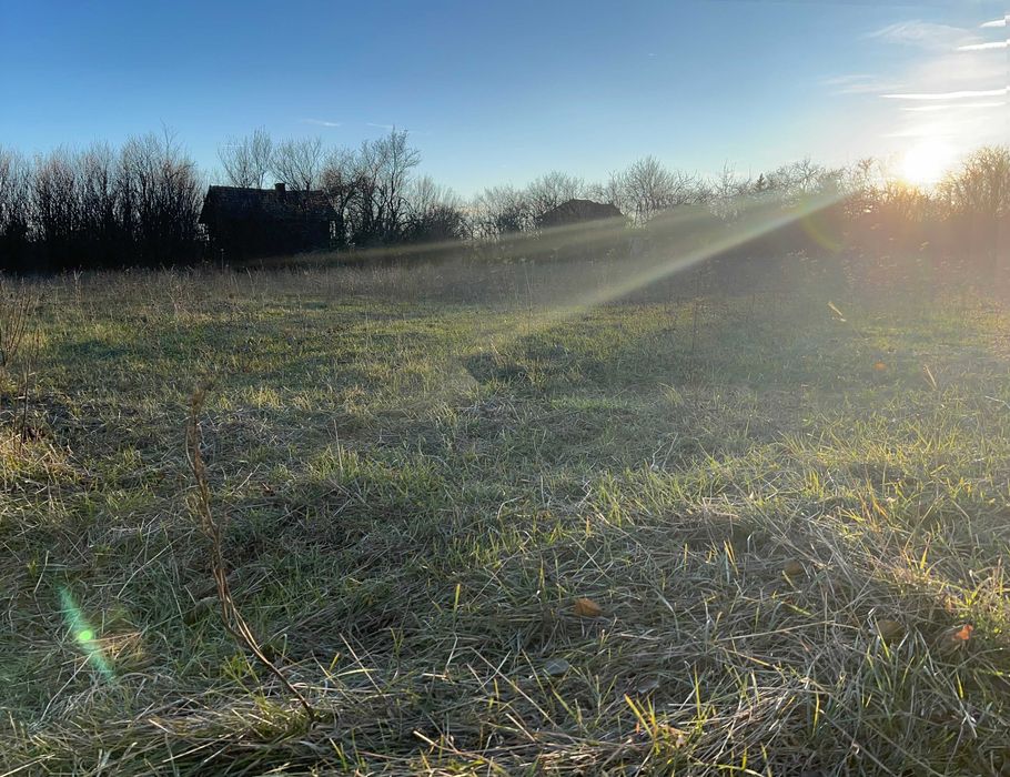 Продава се Парцел в с. Борован, Област Враца - 4000 кв.м за 16 €/кв.м - Снимка #11