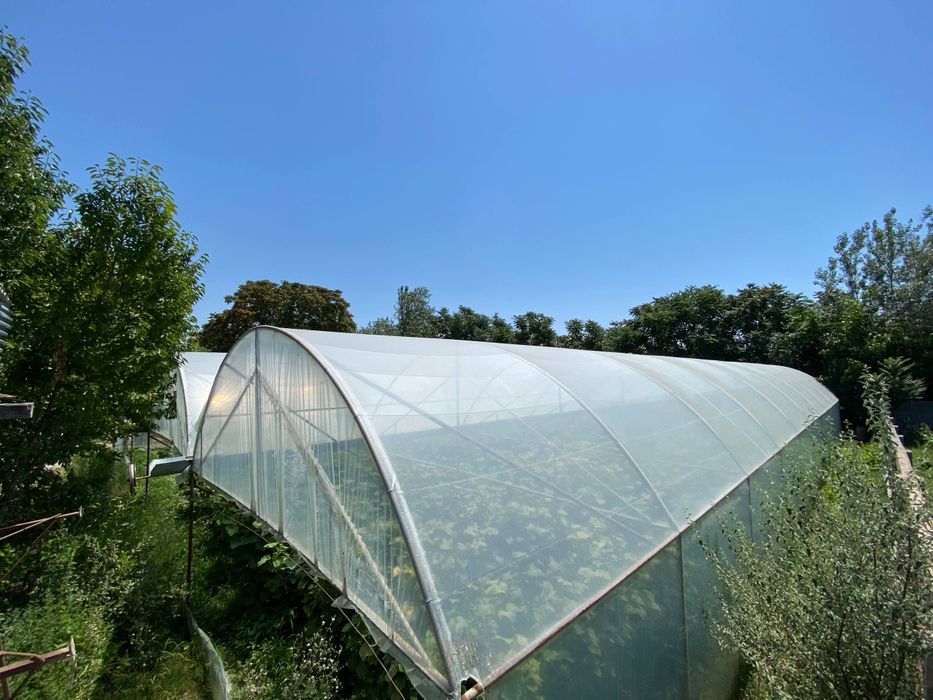 Issiq xona sotiladi 8 sotik 6.4×30