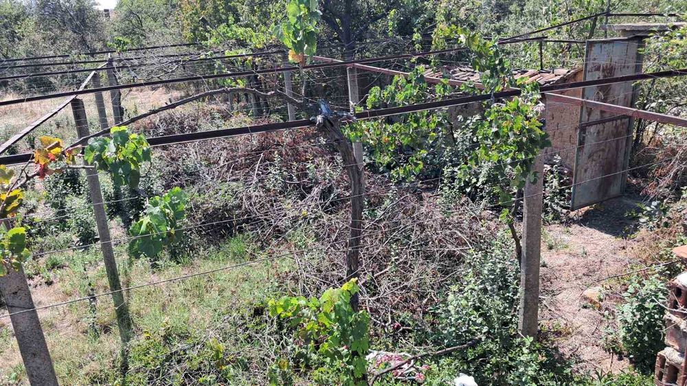 Продава се Парцел в с. Ветрен, Област Стара Загора - 980 кв.м за 14 €/кв.м - Снимка #4