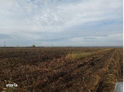 Teren extravilan Lunca Banului, ID: R2944332