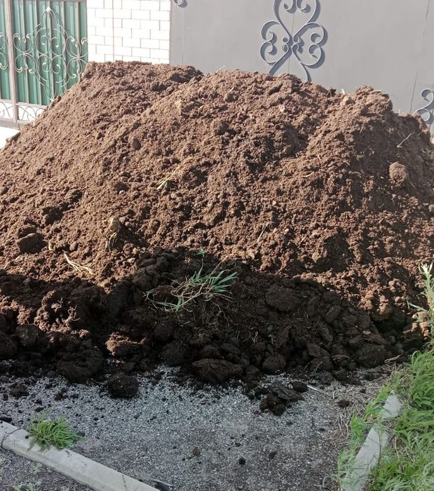 Перегной - Чернозем