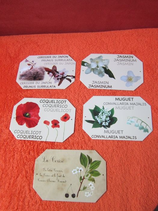 Cadou inedit - set botanic,decoratiune metalica - iDenature