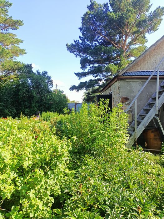 Дача пионер лагеря