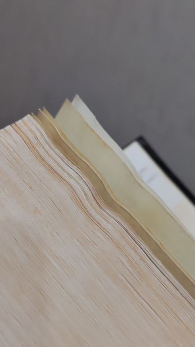 Книга Оно Стивена Кинга