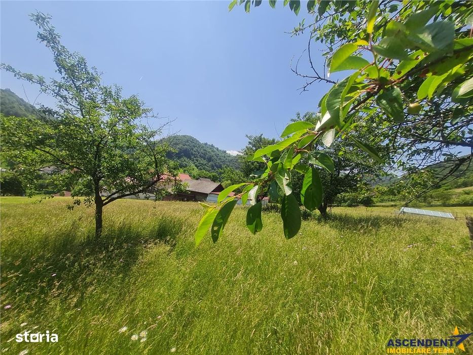 Teren 1.450 mp intravilan, la DN, cu priveliste de carte postala, Bran