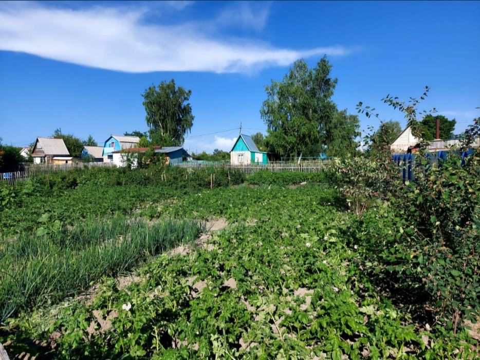 Дачный участок 5 сот, СО Ромашка
