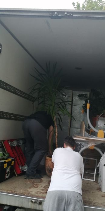 Mutări, Debarasări, Relocari