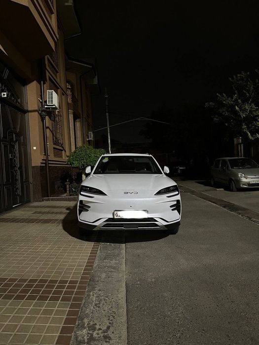 BYD chempion EV 2024