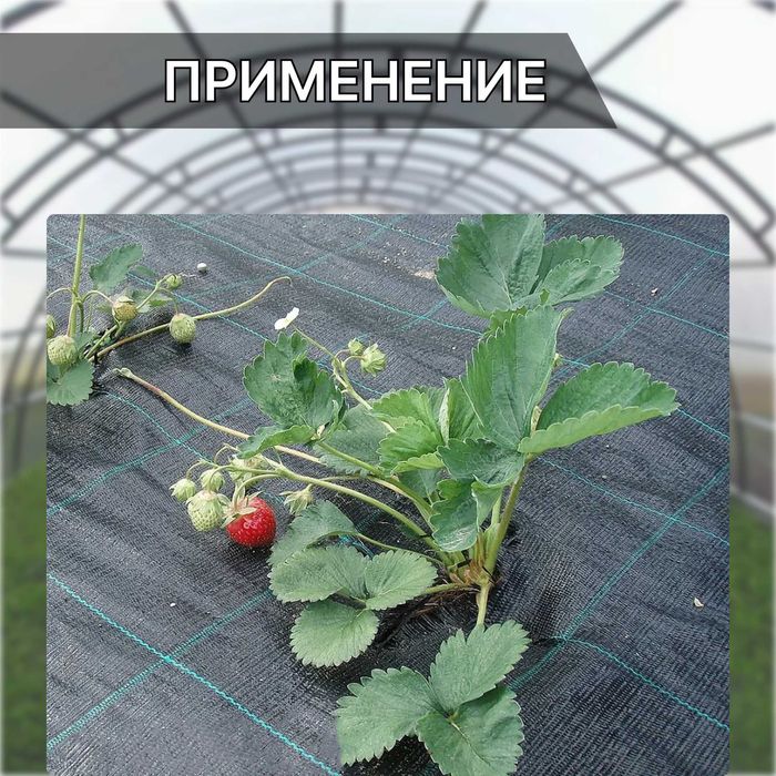 Агроткань в рулонах