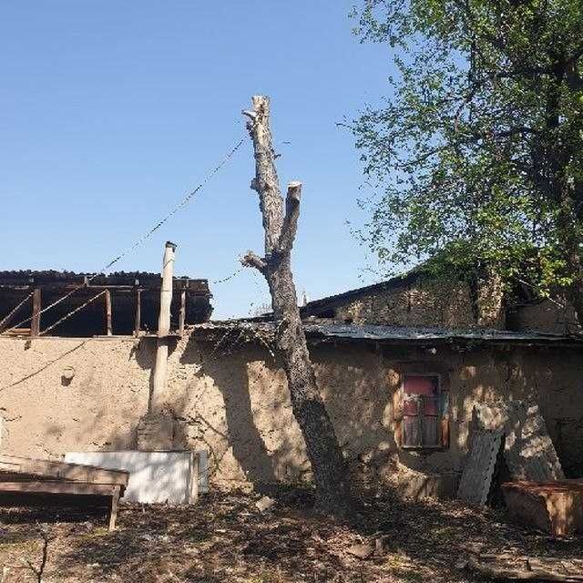 Дарахтларни кесиш ва бошқа хизматлар