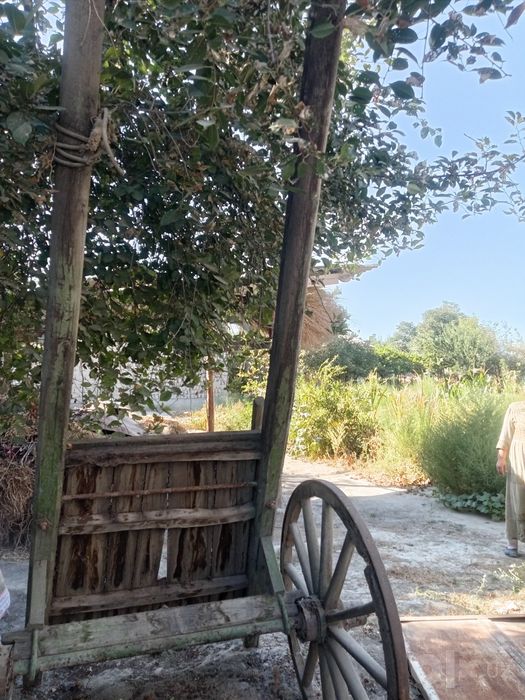 Ot arava sotiladi.