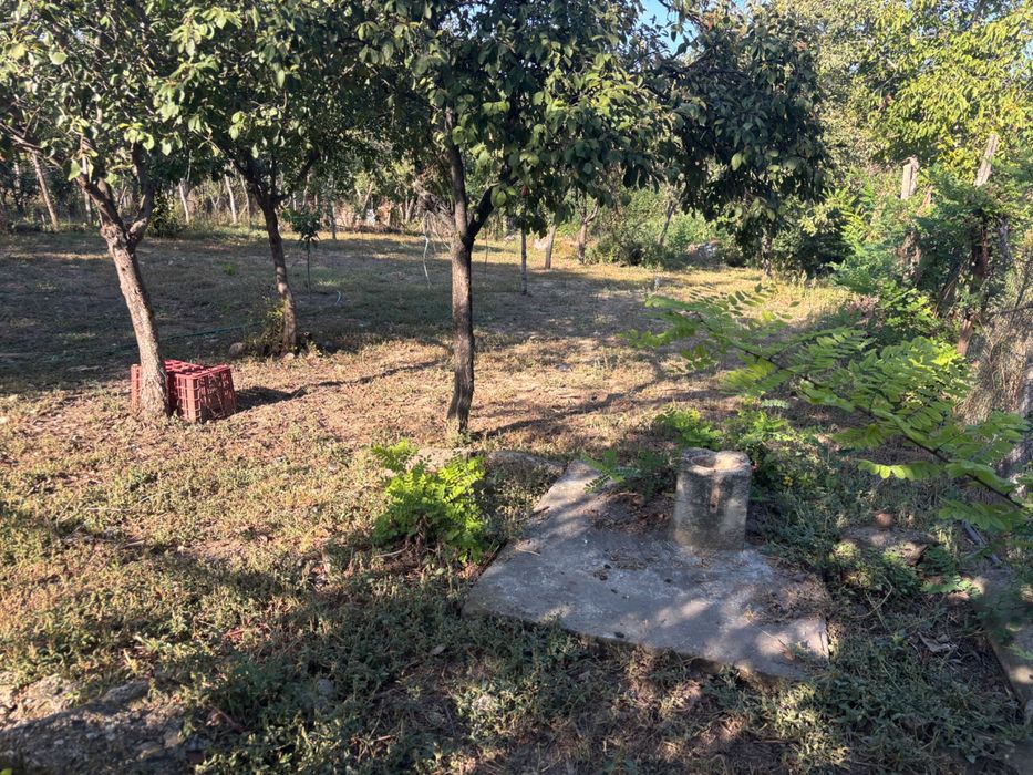 Casa de vânzare în orașul Mizil,str decebal 1224 MP