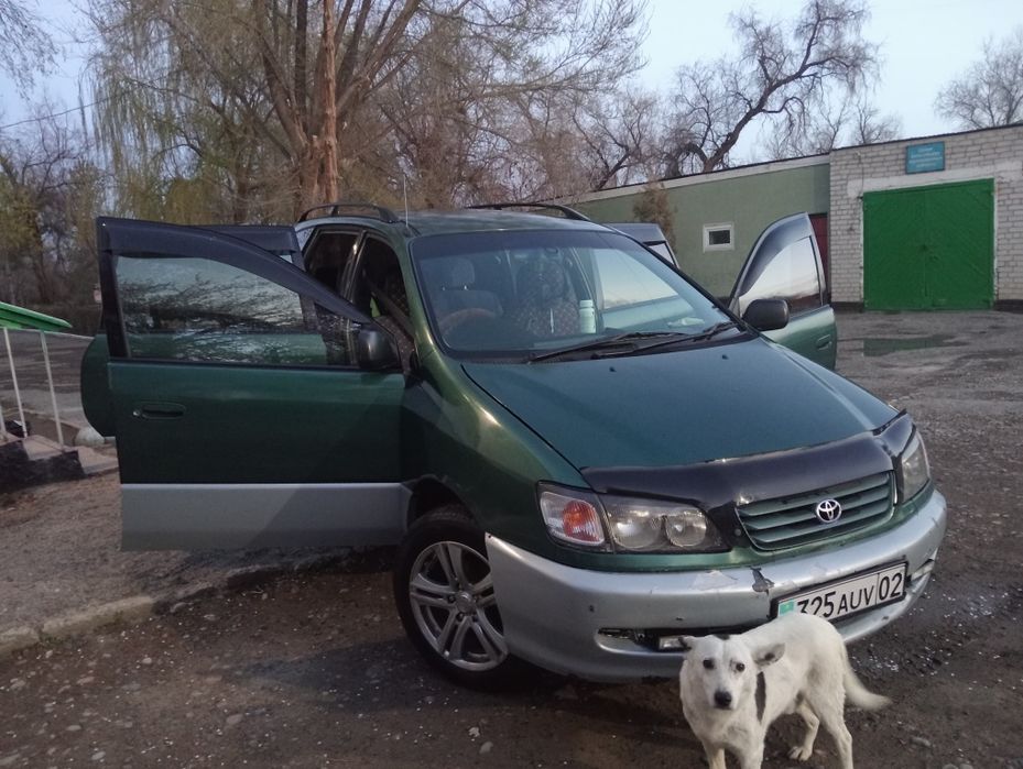 Tayota ipsum, варианты обмена