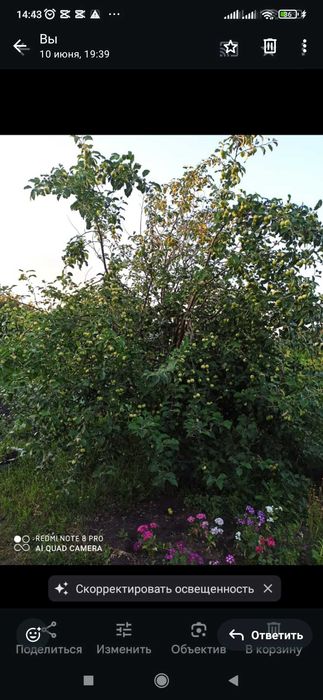 Продам дачный участок