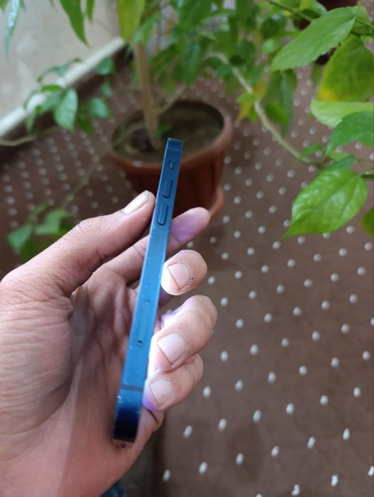 Iphone 12 mini 128 tali