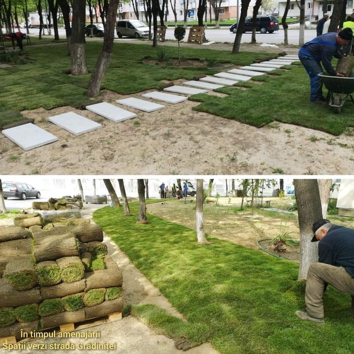 Pavaj ,Dale beton ,Trepte ,Pasi de pisica,Pasi Japonezi