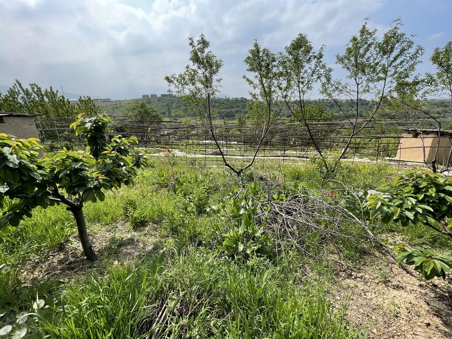 Паркент туман Сукок кишлогида 5 соток ер участкаси сотилади