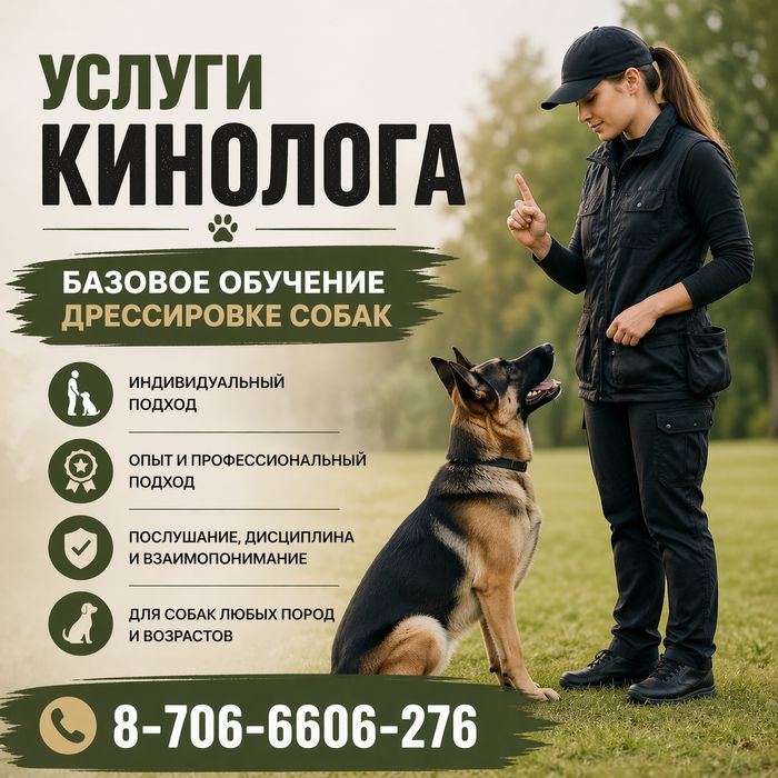 Дрессировка собак кинолог